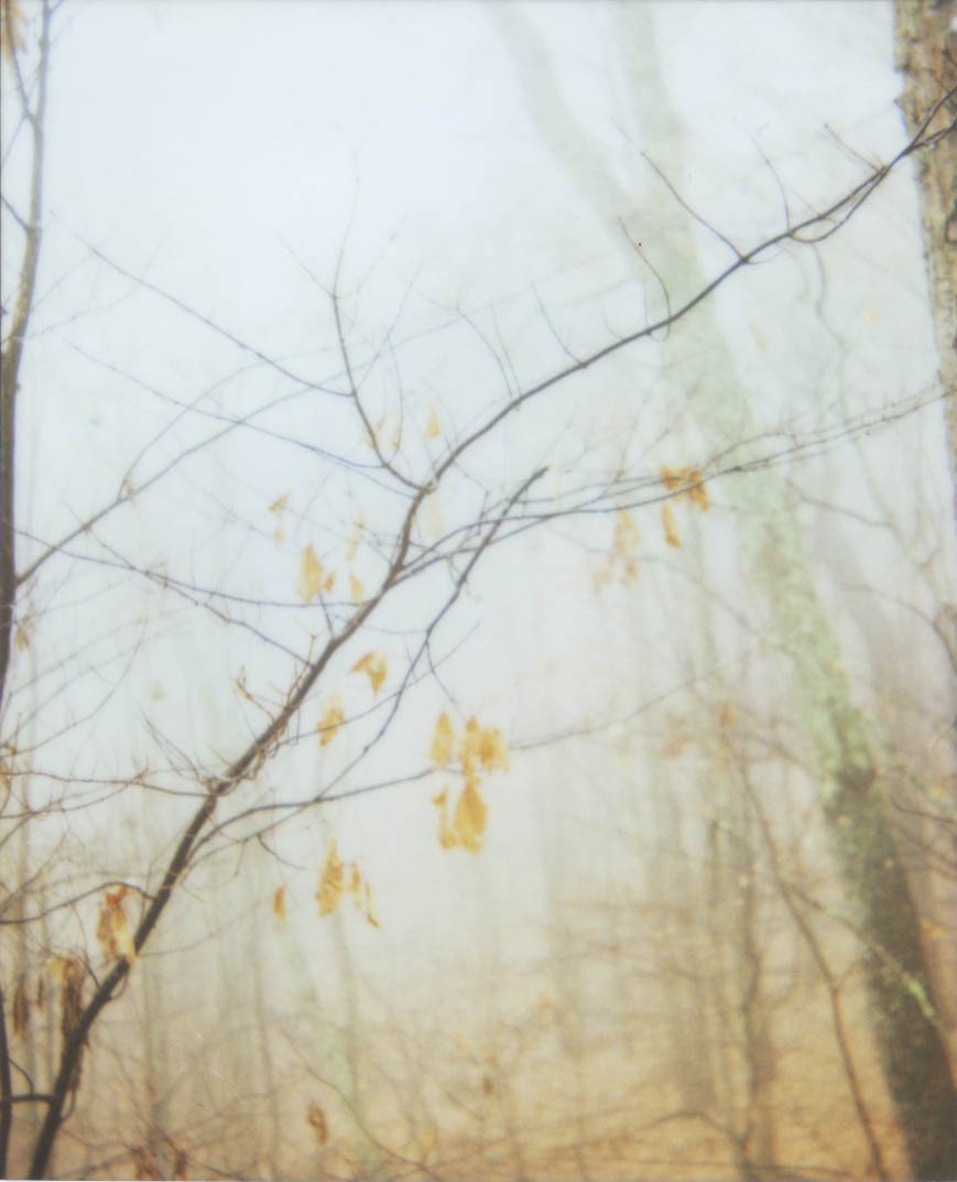 Tea Bowls and Pitcher BUNDLE